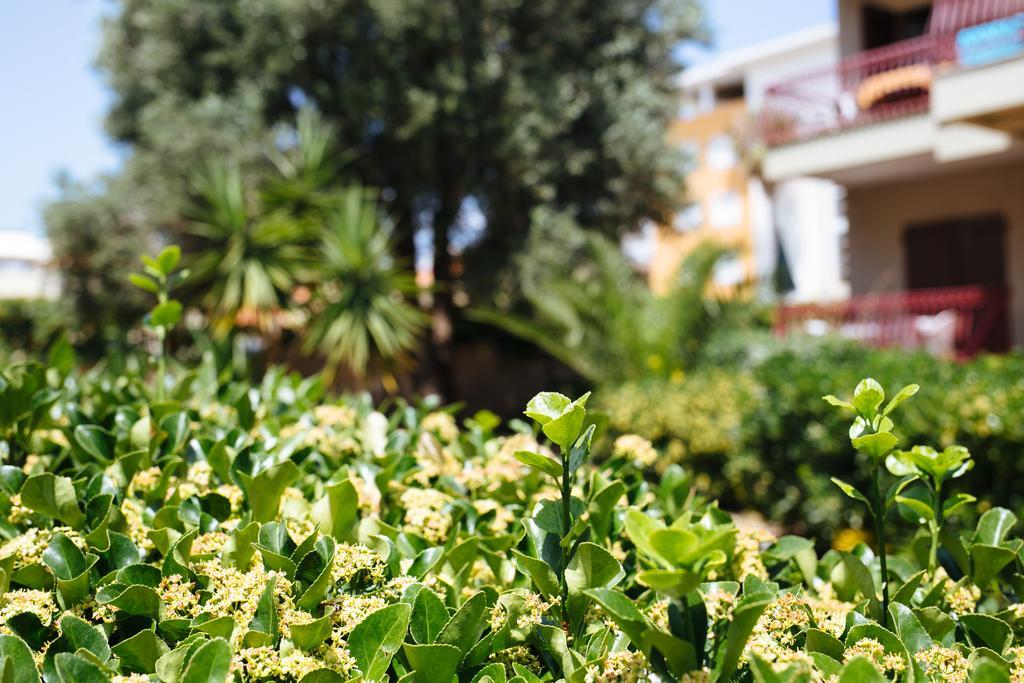 S'Arena Bianca Apartment Альгеро Экстерьер фото